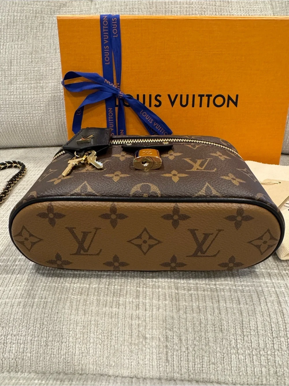 Louis Vuitton Vanity Chain Pouch
